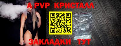 крисы Тверь