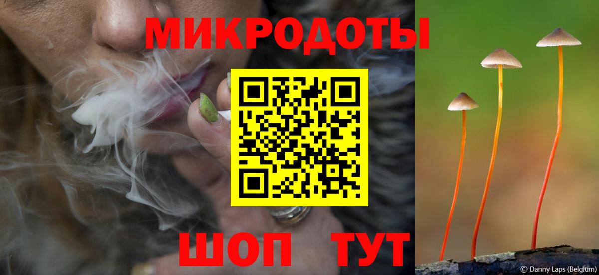 Псилоцибиновые грибы MAGIC MUSHROOMS  Вход с VPN  Братск  Галлюциногенные грибы Psilocybine cubensis 